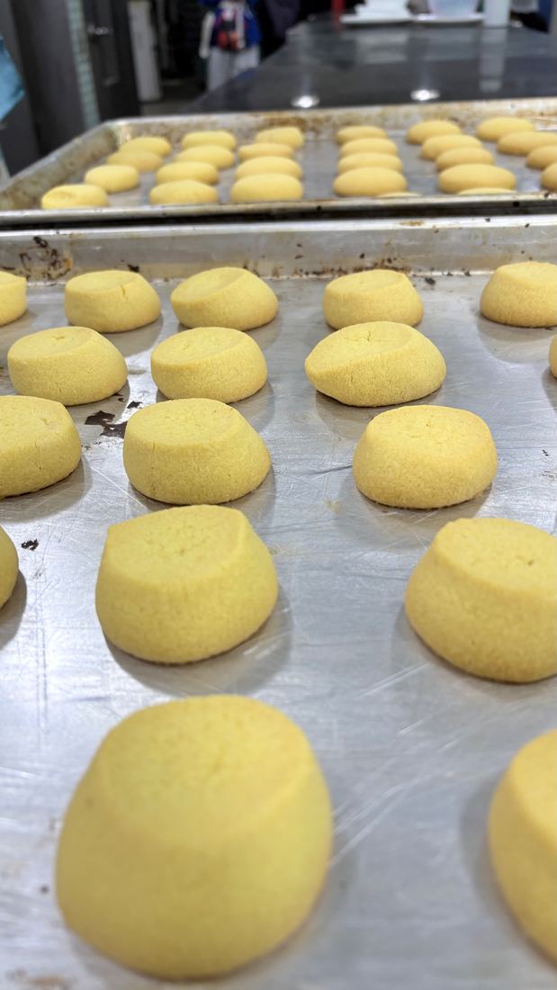 Rows of golden cookies cooling on baking trays